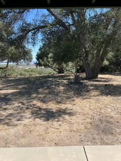 Country Cowboy Hot Tub Hideaway on 20 Acres - Borrego Springs - 6