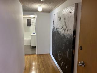 Manly beach on the corso 10 - 5