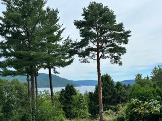 Canandaigua Lake Retreat with view and private beach access, foliage, hike, and Ski - Canandaigua - 6