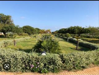 maison de vacances à OLA BLANCA 2 - 9