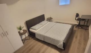 Lake-Walk House 3 Bed 2 Bath Apt - Hamilton - 5