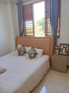 Alice Apartment - Nadi - 5
