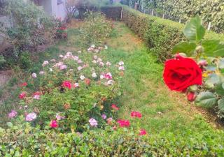 Miraflores departamento céntrico, amplio, hermosas vistas, dúplex 3 dormitorios - 4