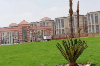 Amazing Furnished Appartment 223 - Cairo - 5