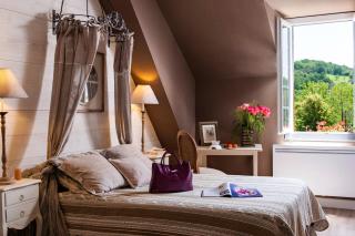 Hostellerie Belle Rive - Gagnac-sur-Cère - 9