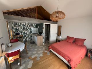 Studio des Lilas - Saint-Benoît - 9