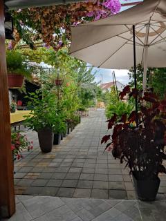 Dalmati house - Brodarica - 5