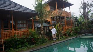 Harmony Wooden Villas - Ubud - 5