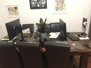 Ferienwohnung in einer Villa mit herrlichem Garten und Katze - Sydenham - 8