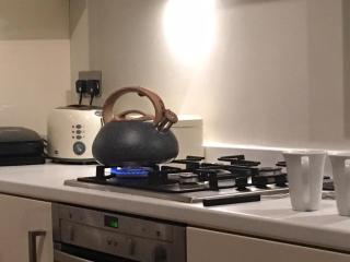 Ferienwohnung in einer Villa mit herrlichem Garten und Katze - Sydenham - 4
