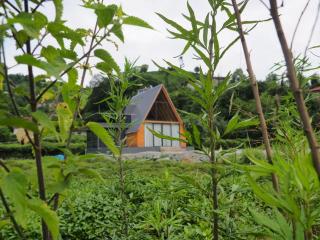 Dere Bungalov - Cayeli - 6