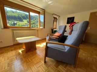 Steiert Panorama Apartments Todtnau - Todtnau - 1