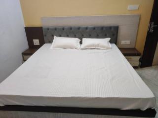The Cozy Palace - Jaipur - 2