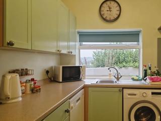 Gull's View - 3