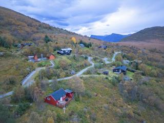 Peaceful cabin retreat in the Norwegian mountains - 3