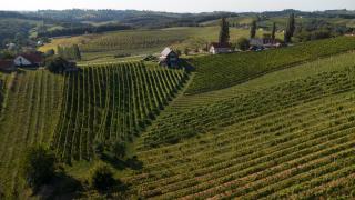 Hisa Vukan - Eco House in middle of vineyard with Sauna! - Miklavž pri Ormožu - 3