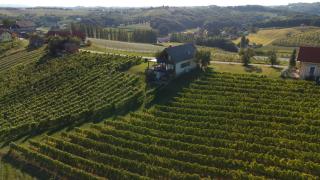Hisa Vukan - Eco House in middle of vineyard with Sauna! - Miklavž pri Ormožu - 2