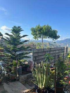 Mountain View Cabin 2 - 4