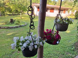 Alla Capannina - Pieve Fosciana - 6