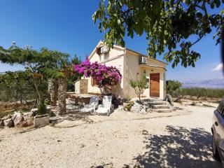 Robinson crusoe style house "MASLINA'' - Škrip - 9