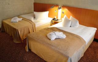 Parkhotel Görlitz - Görlitz - 9