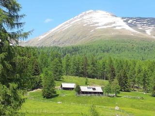 Larerhütte - Tamsweg - 2