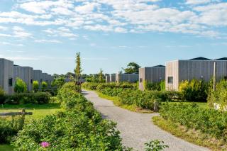 Huisje123 - Ecohuisjes Terschelling - Midsland - 7