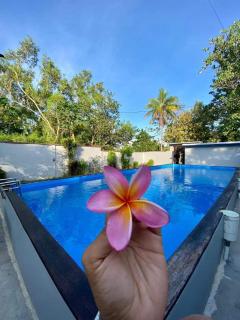Npdc Comfy Hotel - Toyapakeh - 7