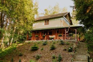 Cabana Huta Sinteu - 1