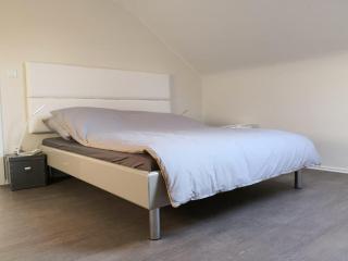 Liu Home Executive Suite Apartment - Mönchengladbach - 8