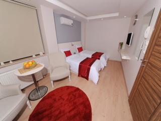 Gazel Suites Downtown - Istanbul - 9