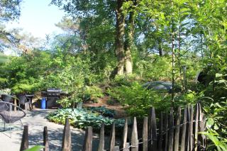 Mooi 4p Wellness chalet in het Bos met finse Sauna en Hottub - Diever - 7
