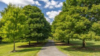 Luxury 15 acre Estate in Historic Purcellville, Virginia - Purcellville - 8