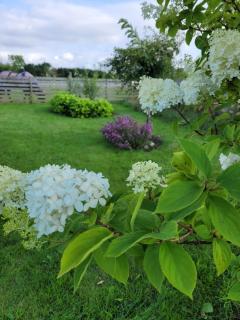 Helgas stuga i Jonstorp - 1
