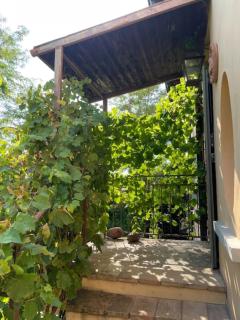 La Grande Quercia - San Bartolomeo - 4