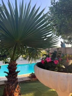 Agriturismo Vemi - 1