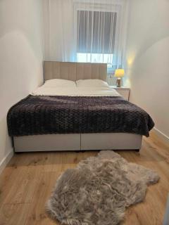 Riverside Premium Apartments in City Centre 2nd - Olsztyn - 6