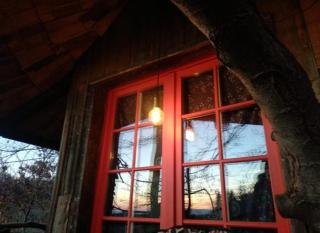 Forest TreeHouse - 1