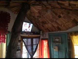 Forest TreeHouse - 2