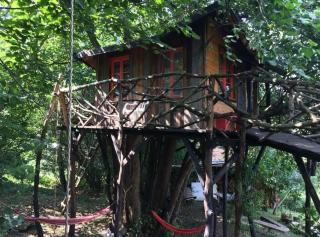 Forest TreeHouse - 4