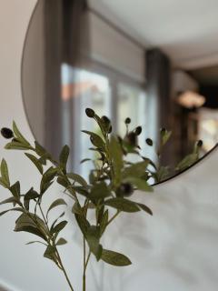 Tiny house Ðulbašča - 3