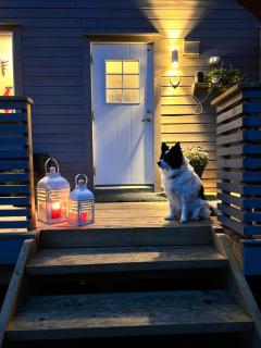 Hytte i Skinnelv, Lyngen - 3