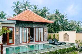 Nadiuma ubud villa - 0