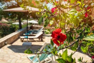 Villa Ftenagia - Calchi (Halki) - 4