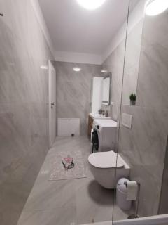 Apartament cu doua camere de lux - Timişoara - 4
