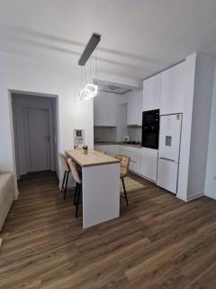 Apartament cu doua camere de lux - Timişoara - 3