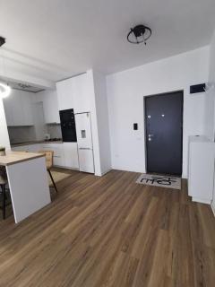 Apartament cu doua camere de lux - Timişoara - 1
