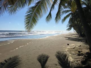 Villa Cascadas - Ciudad Cortés - 5