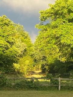 Chambre d'hôtes La Boursicauderie - 7