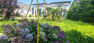 Luxury Villa Mardakan 1 - Baku - 4